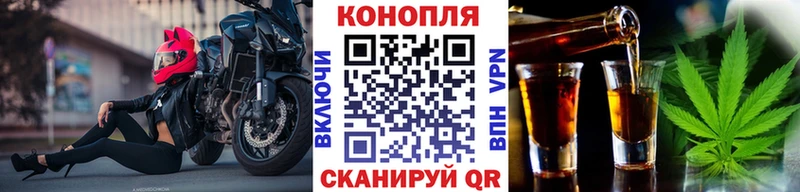 Бошки марихуана планчик  Сурск 
